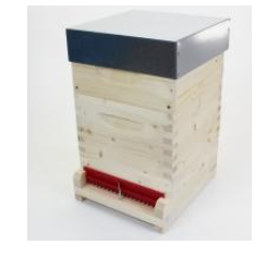 Mini Plus Holz