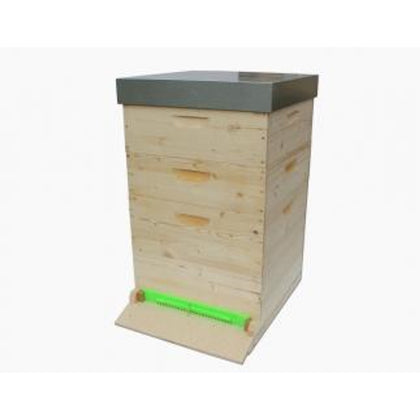 Dadant Blatt10; 425x499