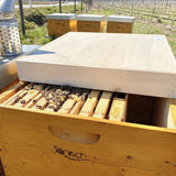 SET FERTIG; Dadant Blatt12/ 499x499, flacher Boden/ HN159