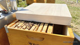 Wärmedeckel; Dadant Blatt12 / 499x499